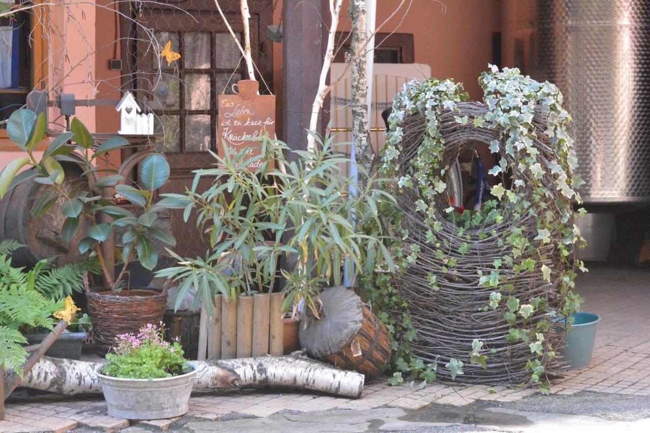 Chez Myriam Bed And Breakfast Studio Parme 科尔马 外观 照片