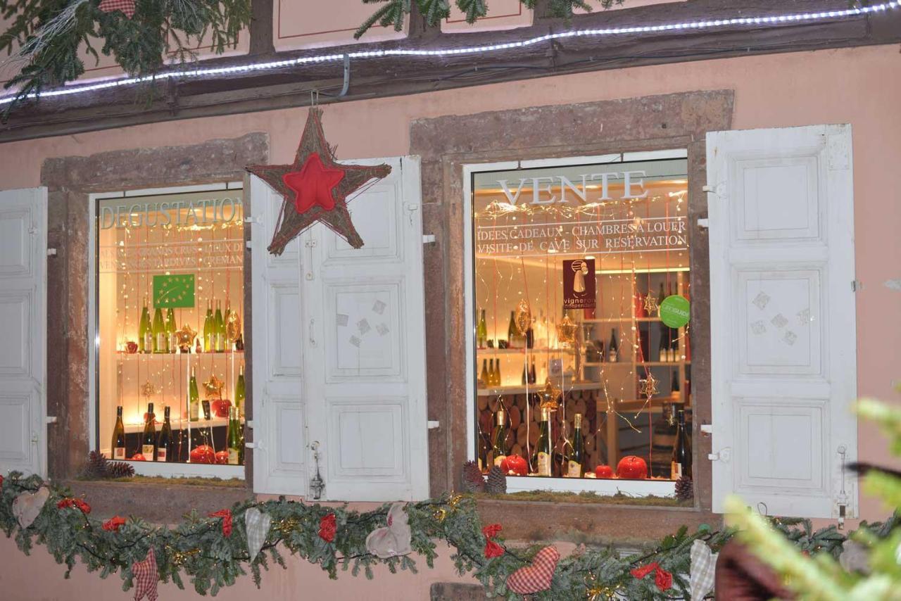 Chez Myriam Bed And Breakfast Studio Parme 科尔马 外观 照片