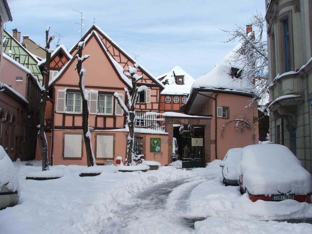 Chez Myriam Bed And Breakfast Studio Parme 科尔马 外观 照片